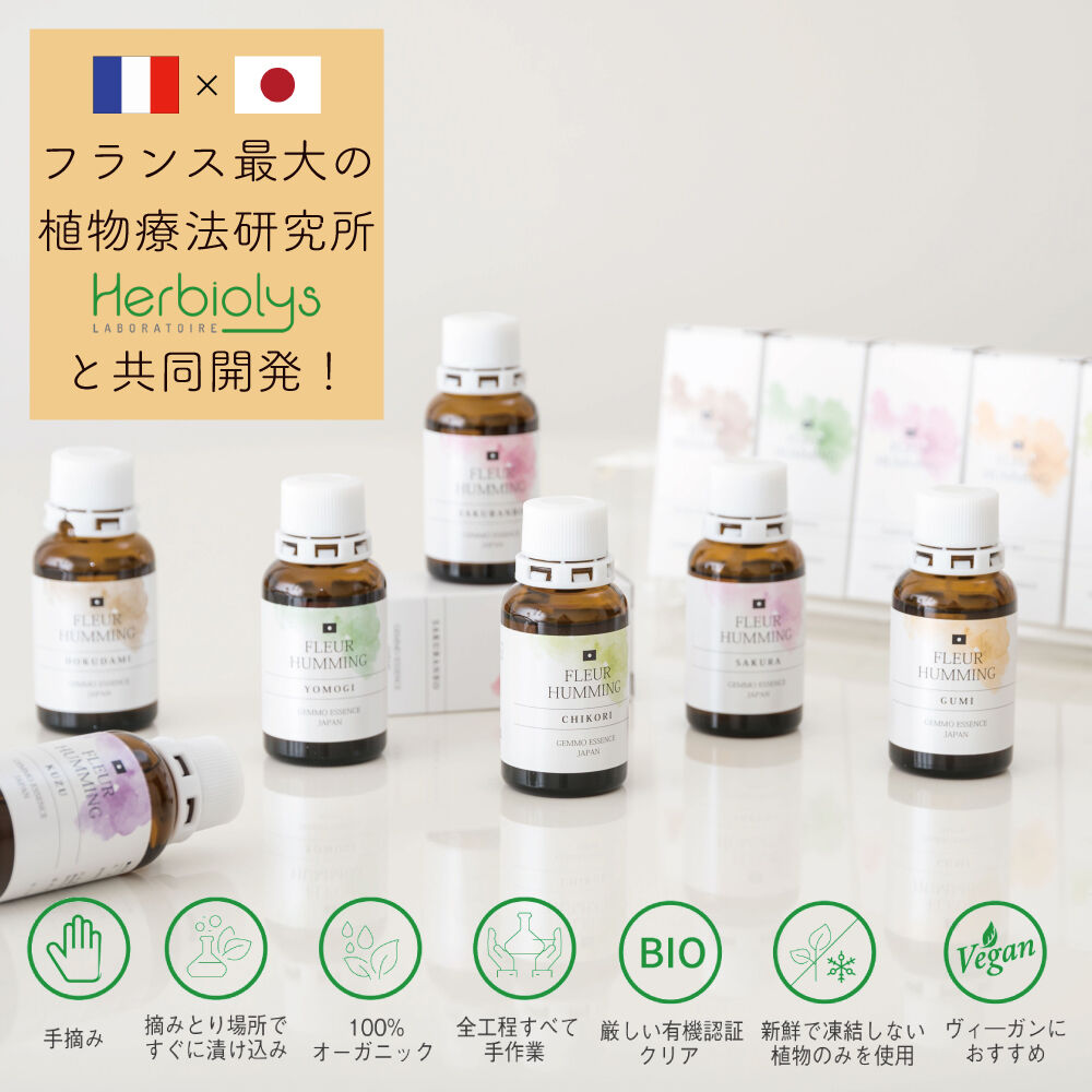 和ジェモ共通３