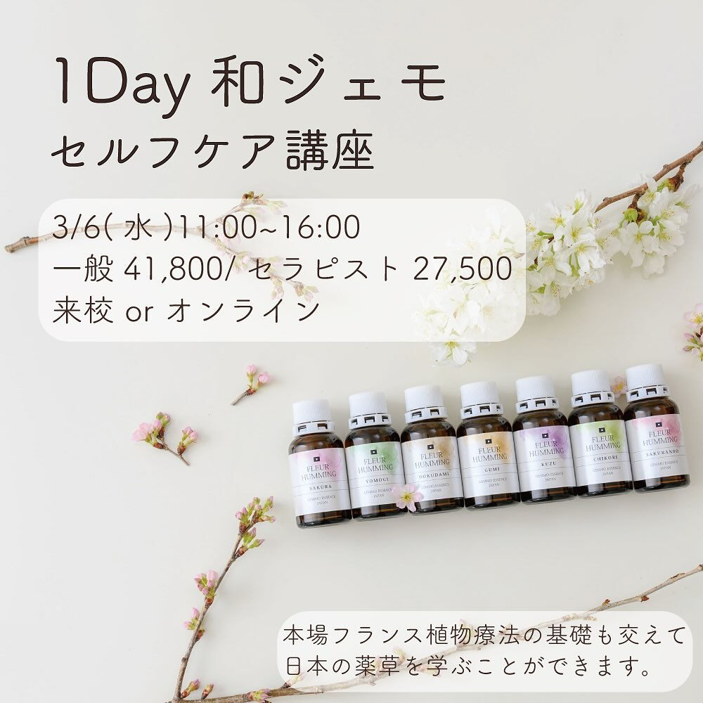 サクラのツボミから作った和ジェモエキスを初めて飲んだときに、