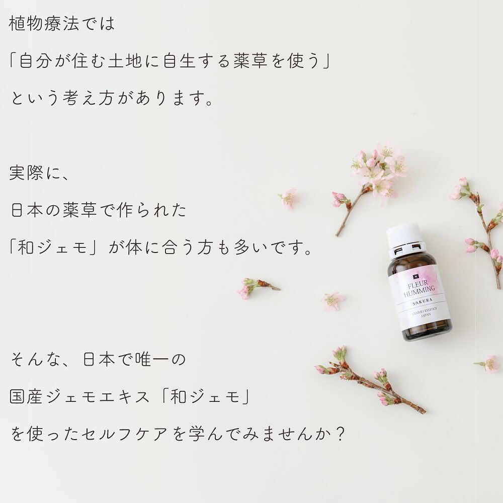 サクラのツボミから作った和ジェモエキスを初めて飲んだときに、