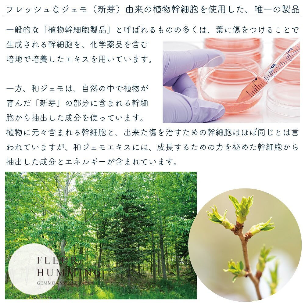 花粉の時期に、肌荒れや乾燥などの肌トラブルが起きる事を、花粉