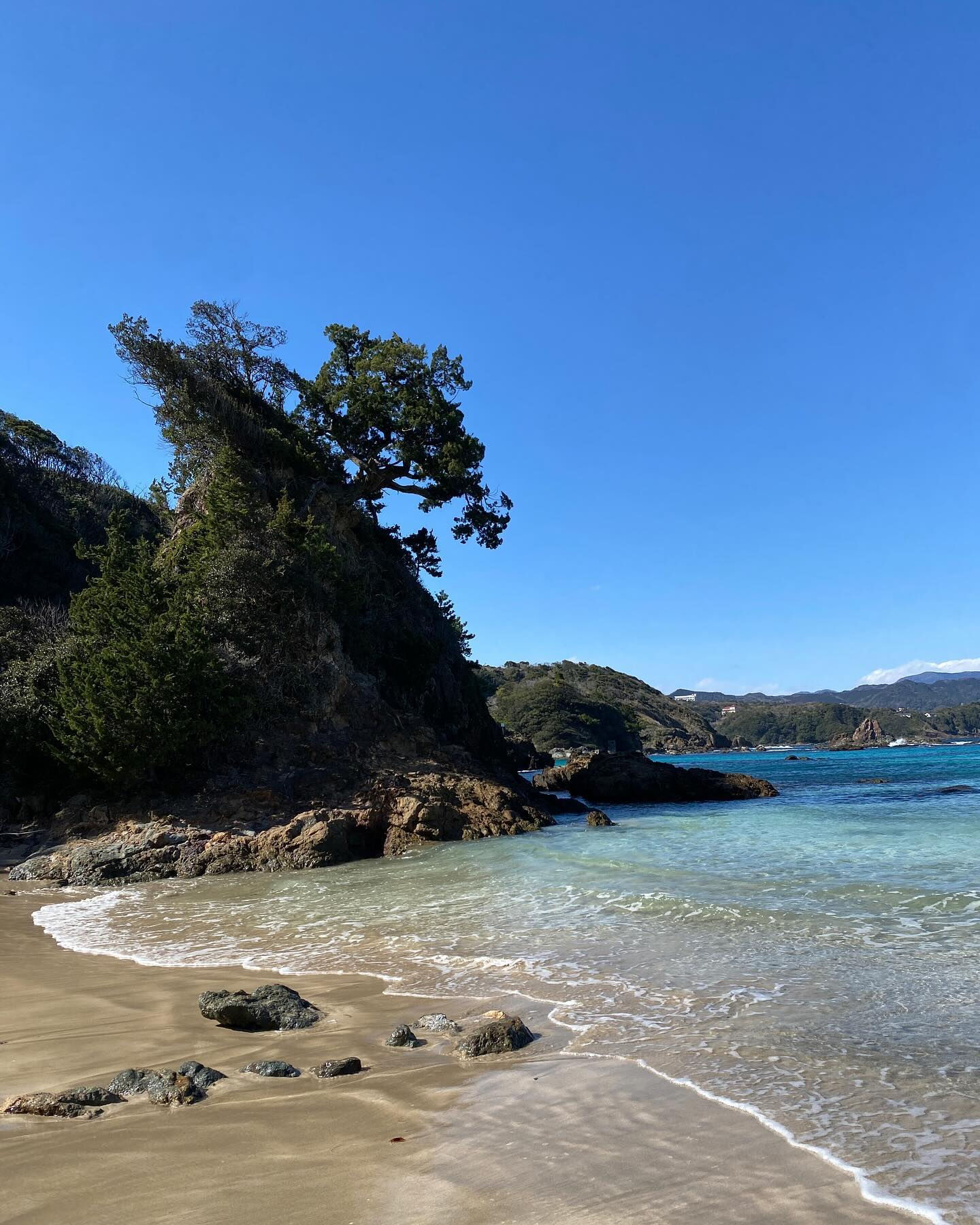 伊豆下田の海岸掃除記録🌊🧹