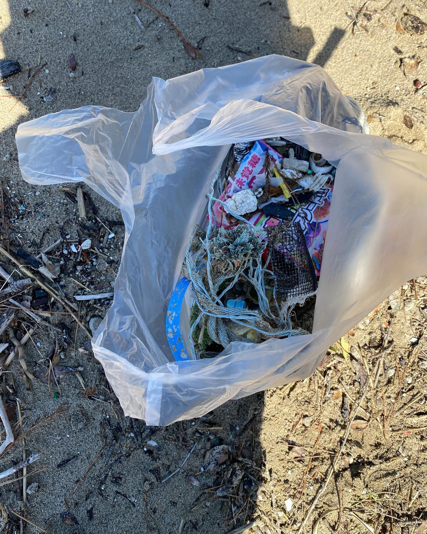 伊豆下田の海岸掃除記録🌊🧹