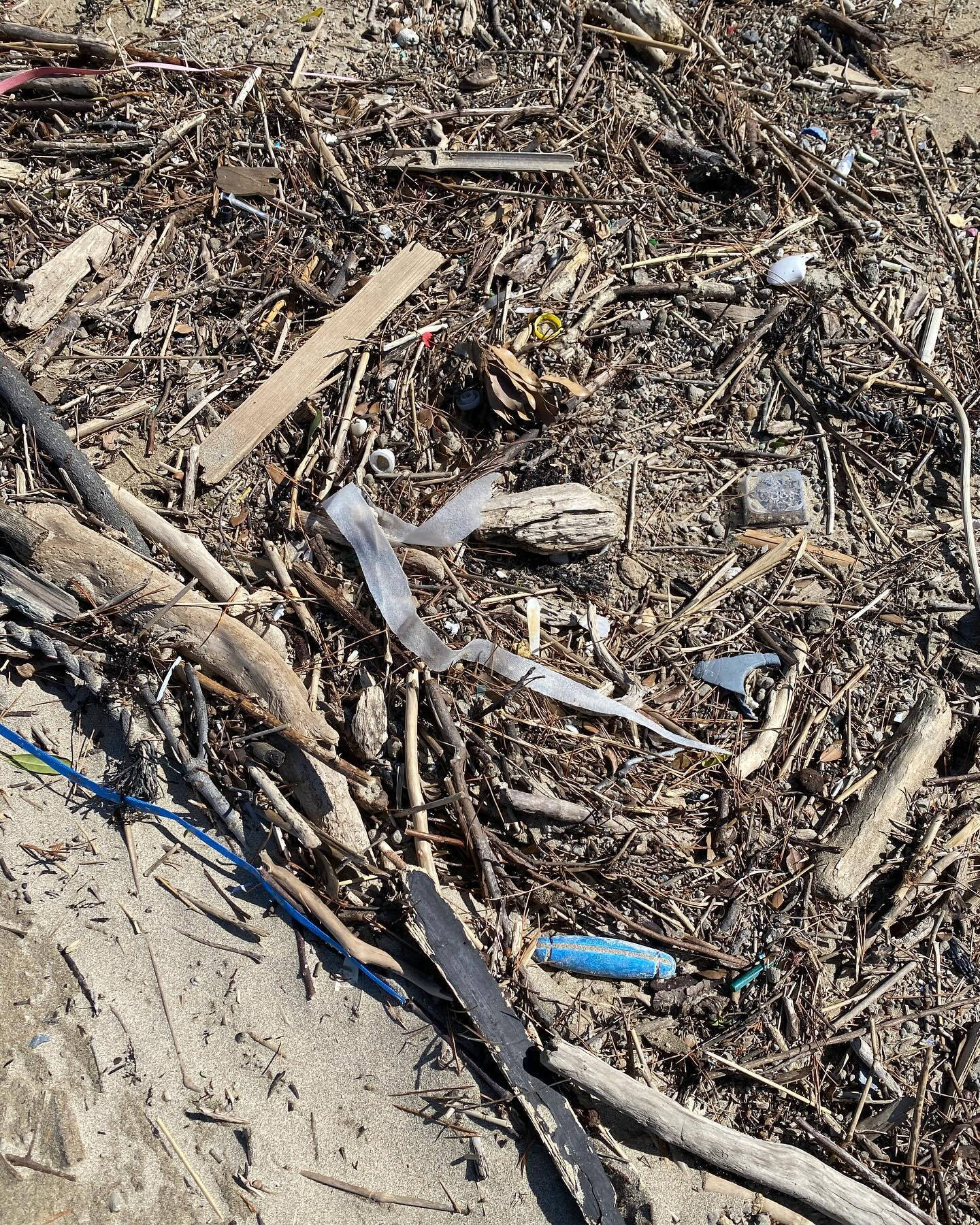 伊豆下田の海岸掃除記録🌊🧹