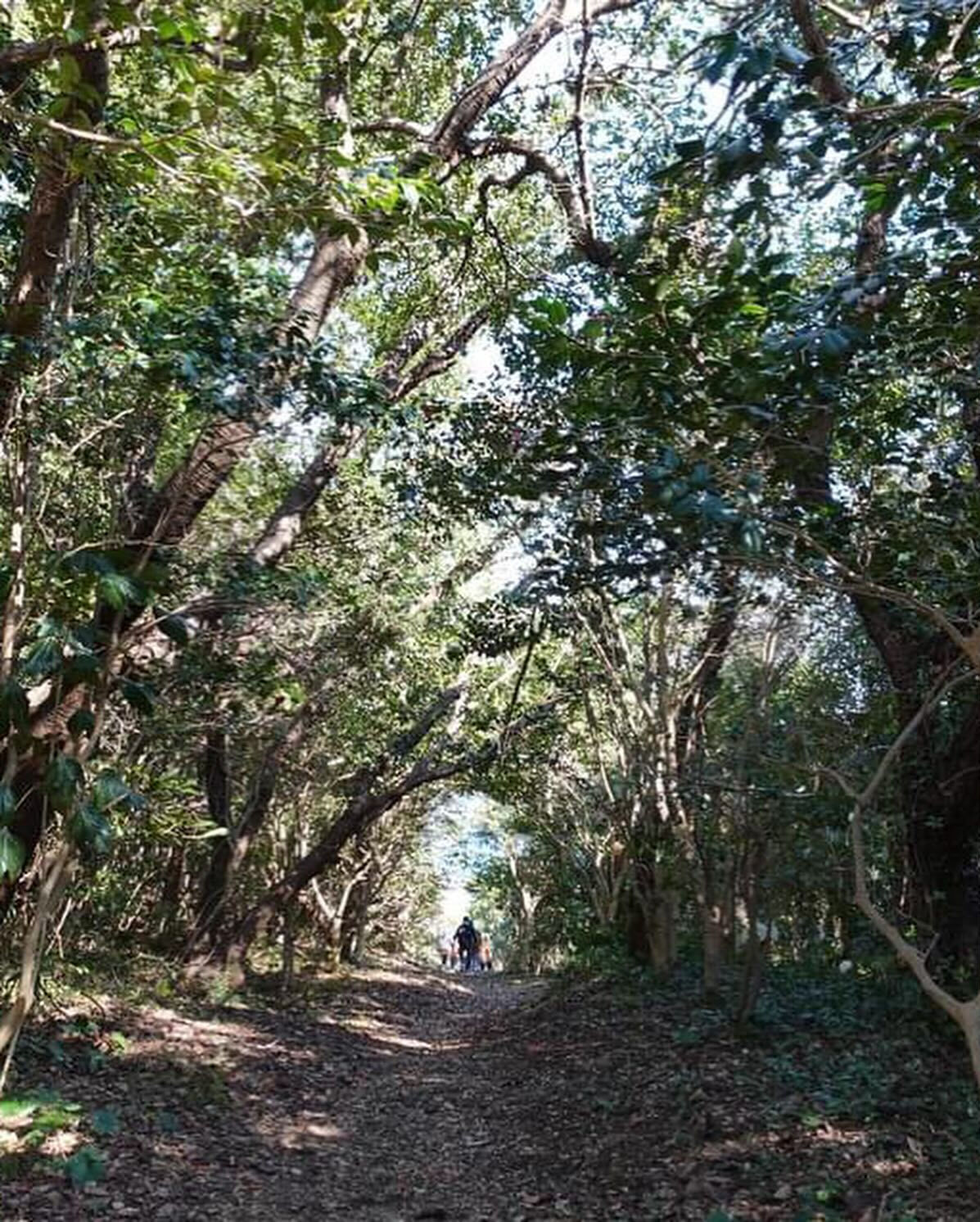 伊豆下田の海岸掃除記録🌊🧹