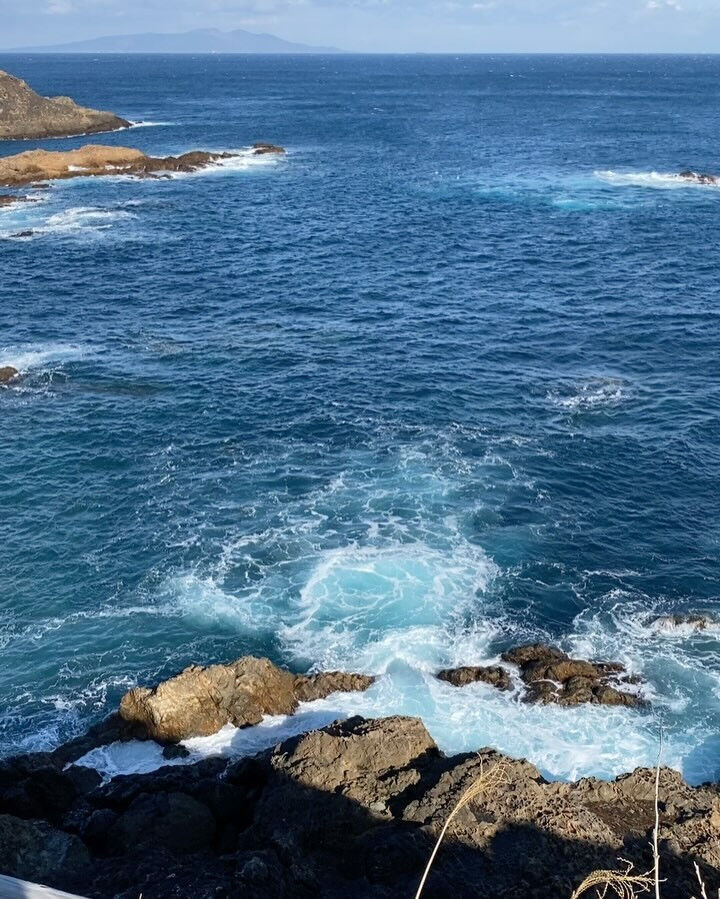 伊豆下田の海岸掃除記録🌊🧹