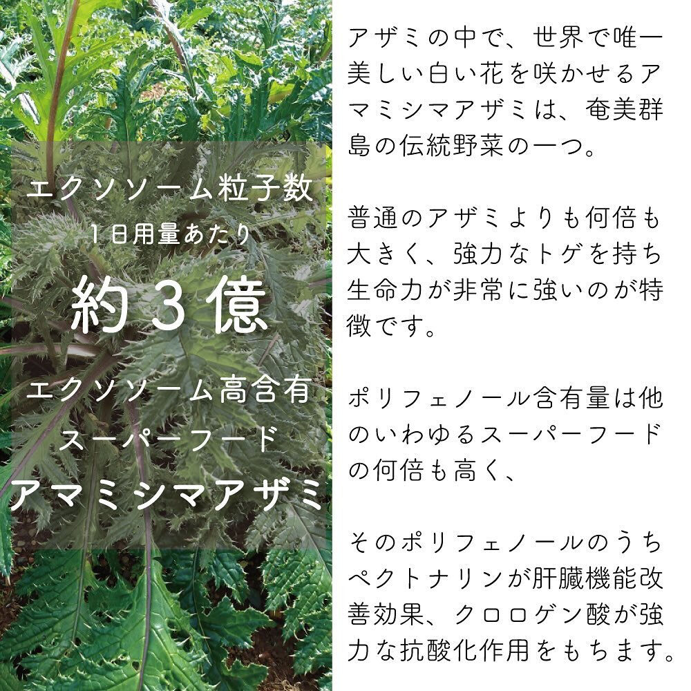 いつも当店をご利用下さり、誠に有り難うございます