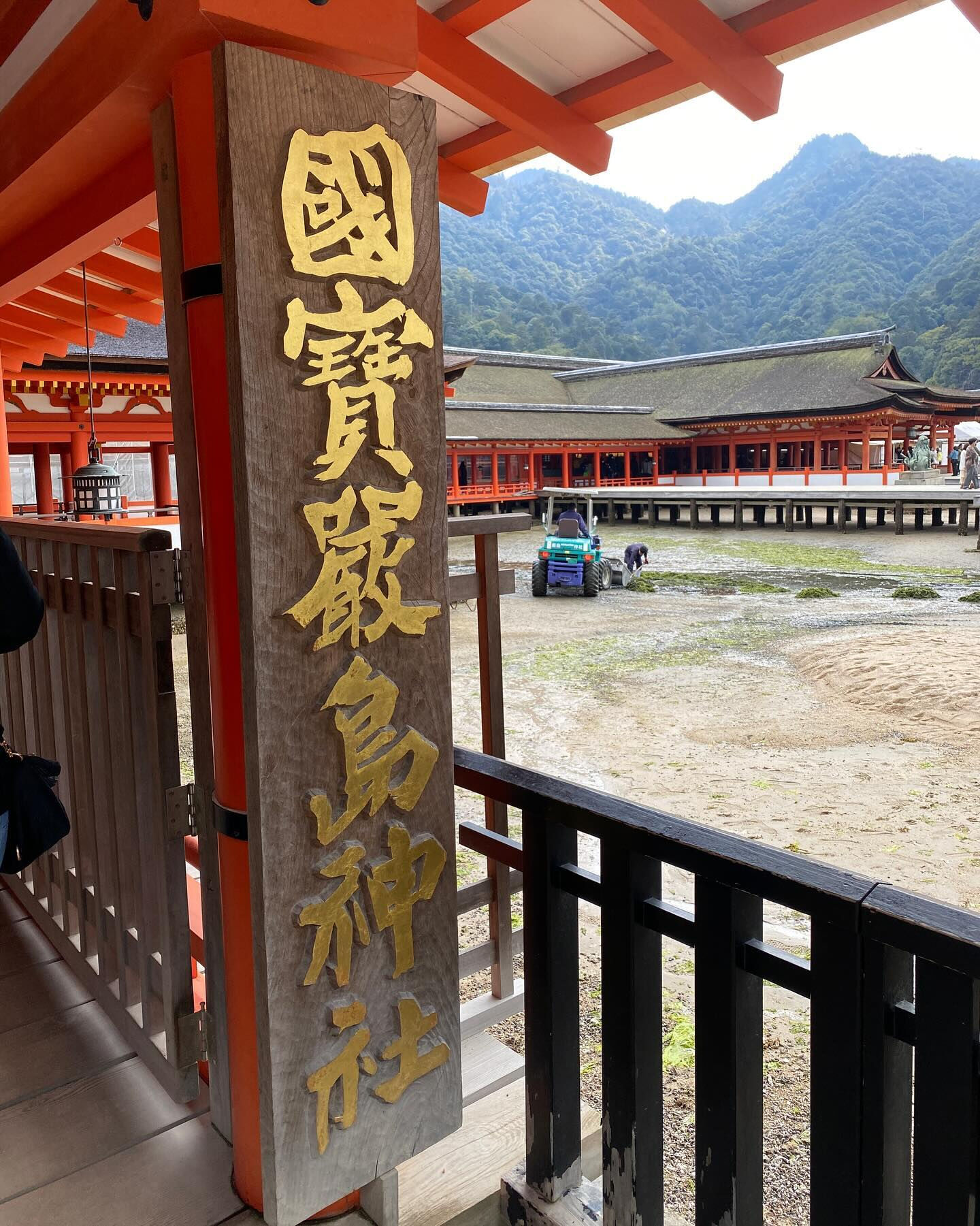 広島記録🇯🇵2024年3月20日春分