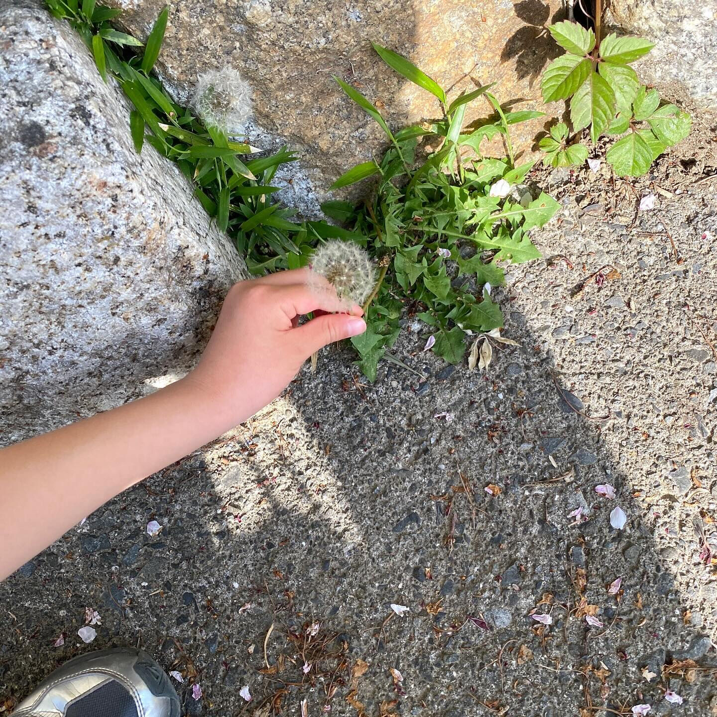春は浄化に最適な季節