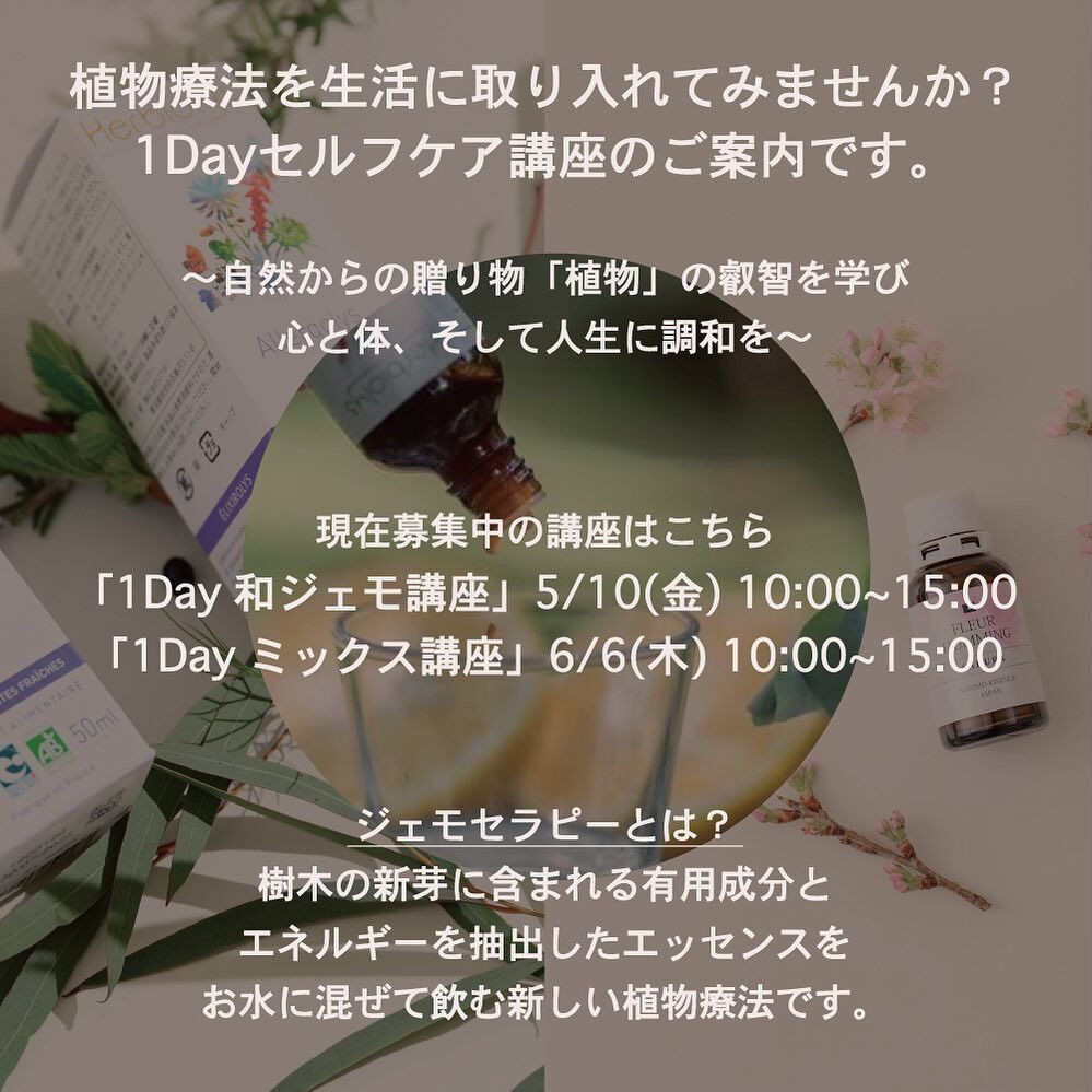 フランスHerbiolys社🇫🇷 × エコールドエルボリスト