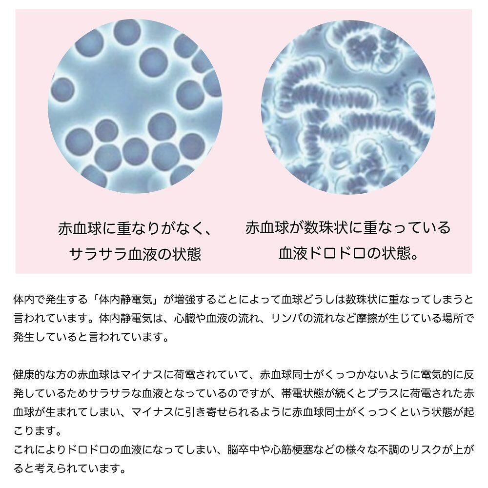 楽天ランキング1位「健康グッズ」「健康シューズ」等