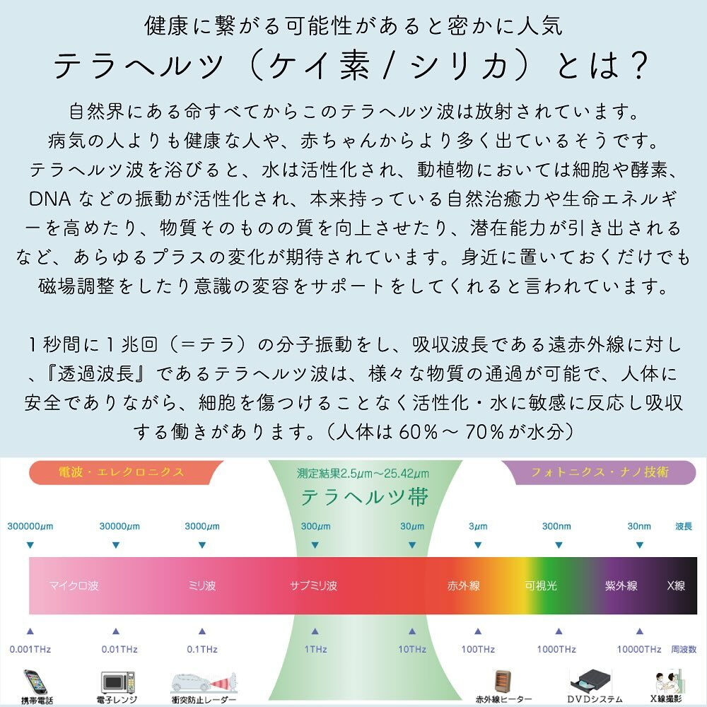 FLASKA新色入荷しています🦋