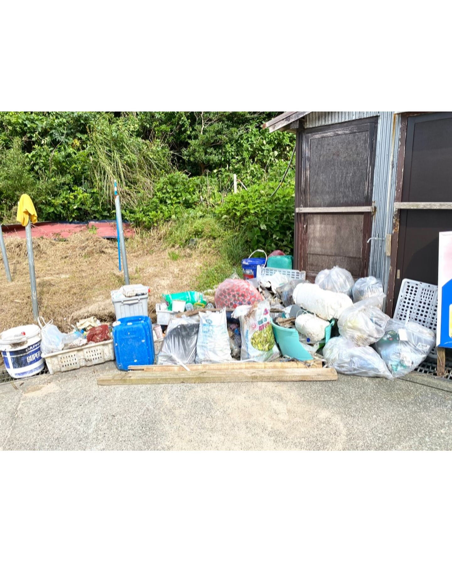 6月23日の伊豆白濱海岸清掃記録☀️