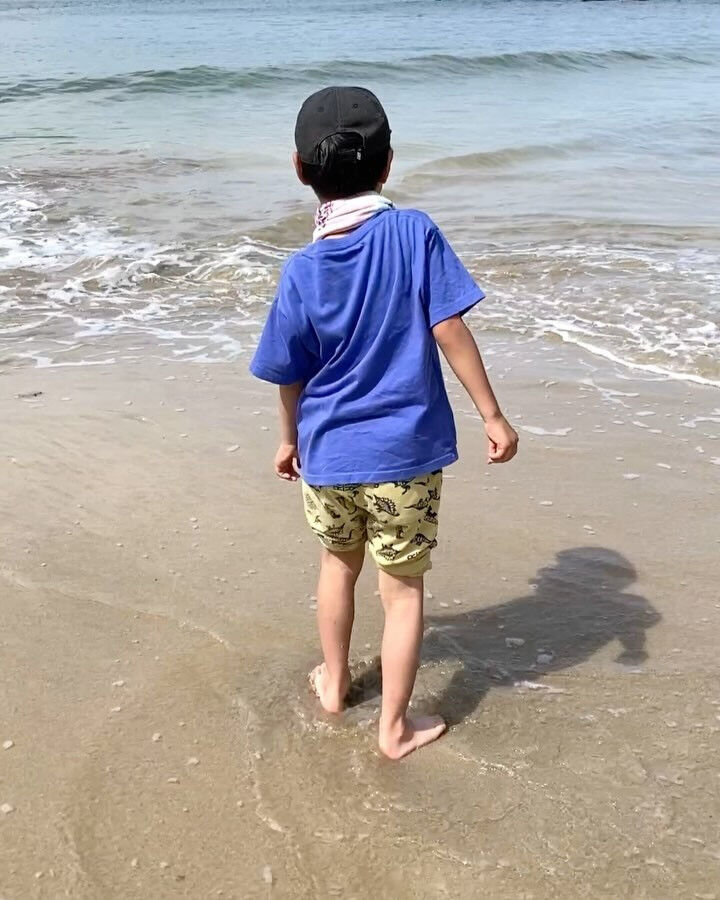 6月23日の伊豆白濱海岸清掃記録☀️