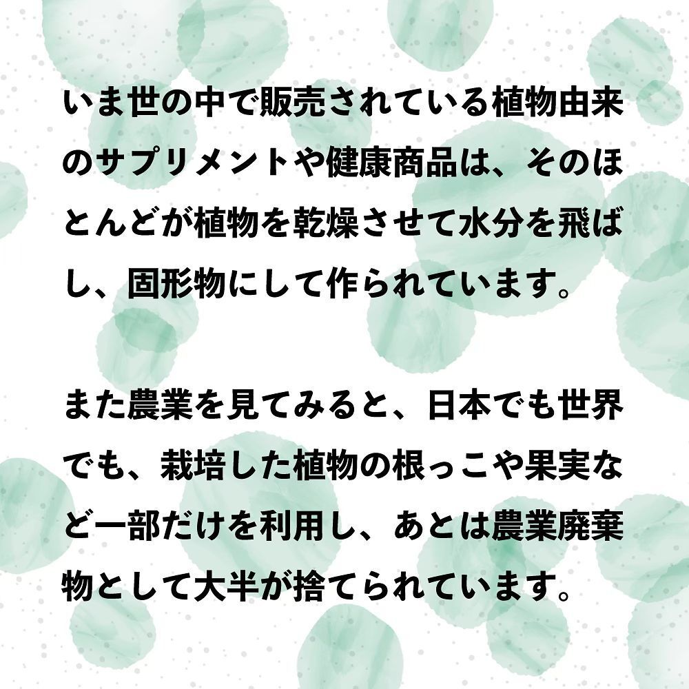 実を収穫したあとのドラゴンフルーツの葉や茎は、農業廃棄物とし