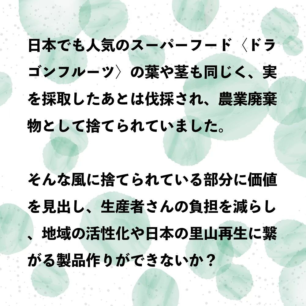 実を収穫したあとのドラゴンフルーツの葉や茎は、農業廃棄物とし