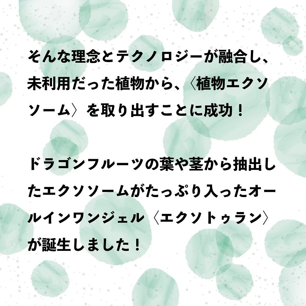 実を収穫したあとのドラゴンフルーツの葉や茎は、農業廃棄物とし