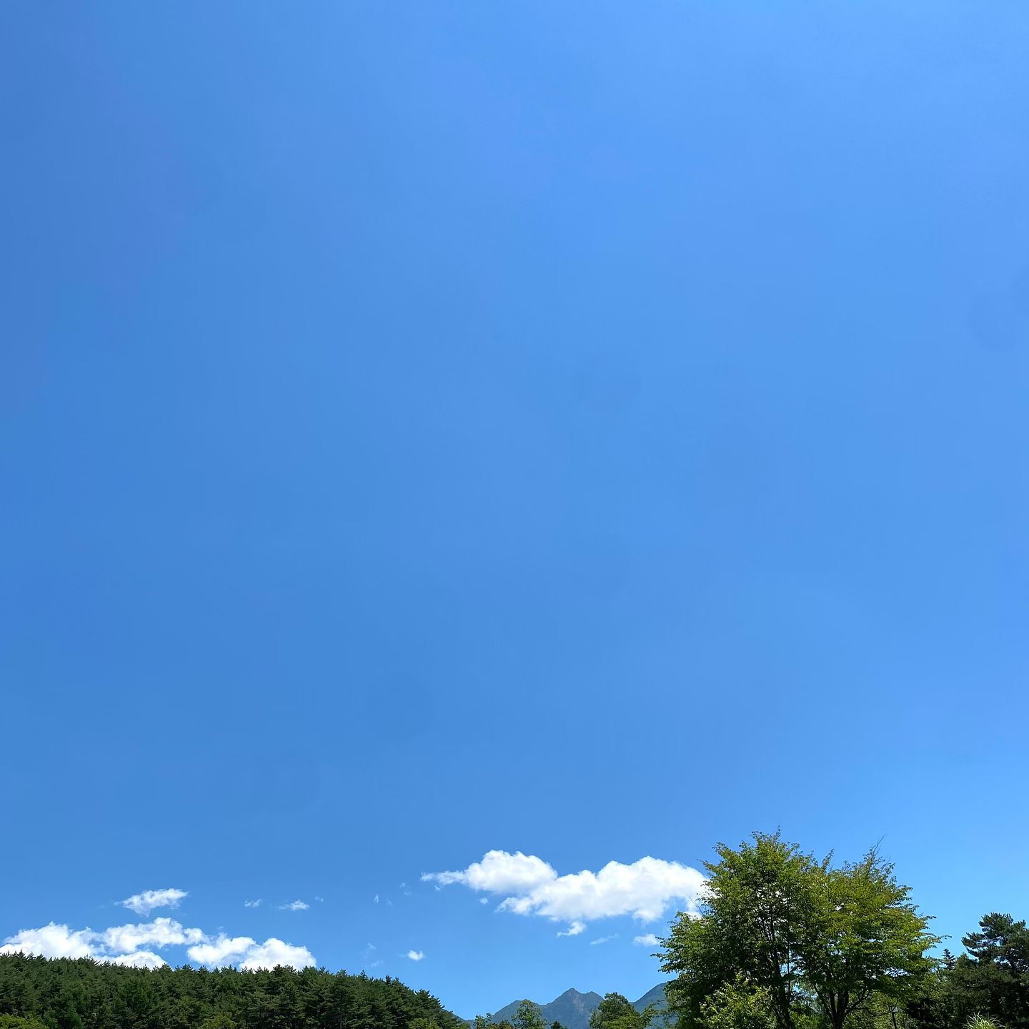 クーラーと外の気温差からか、だるさが抜けず、気力もなく、先週