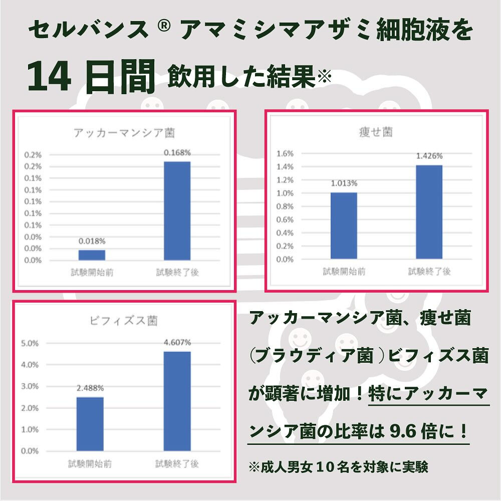 アマミシマアザミの秘密その①〈究極の善玉菌アッカーマンシア菌