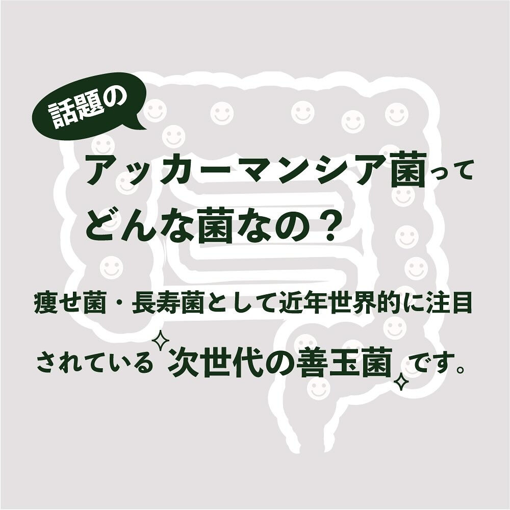 アマミシマアザミの秘密その①〈究極の善玉菌アッカーマンシア菌