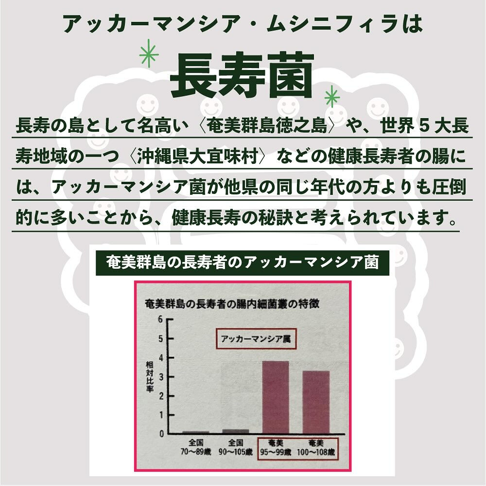 アマミシマアザミの秘密その①〈究極の善玉菌アッカーマンシア菌