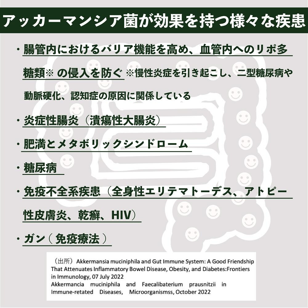 アマミシマアザミの秘密その①〈究極の善玉菌アッカーマンシア菌