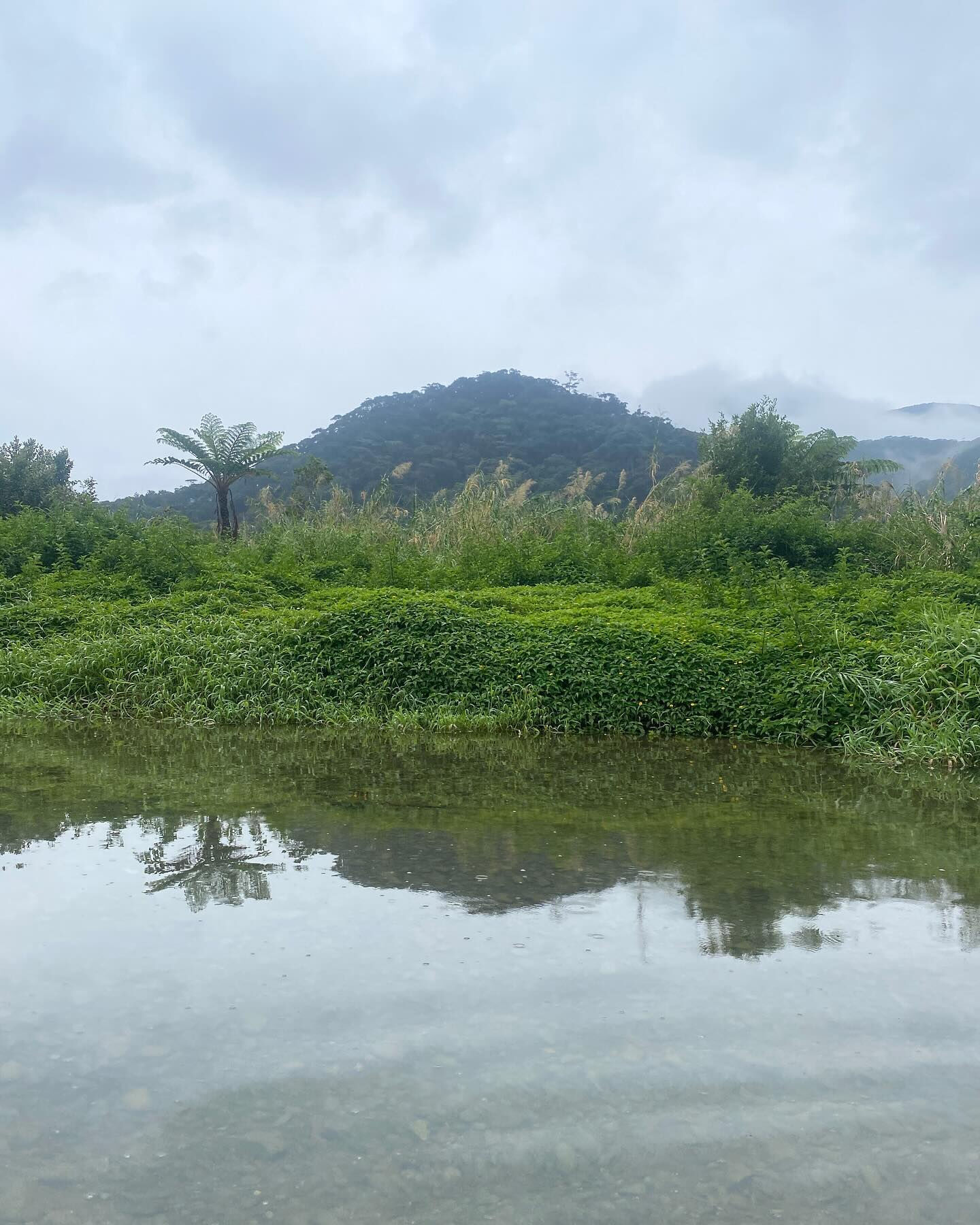 奄美大島