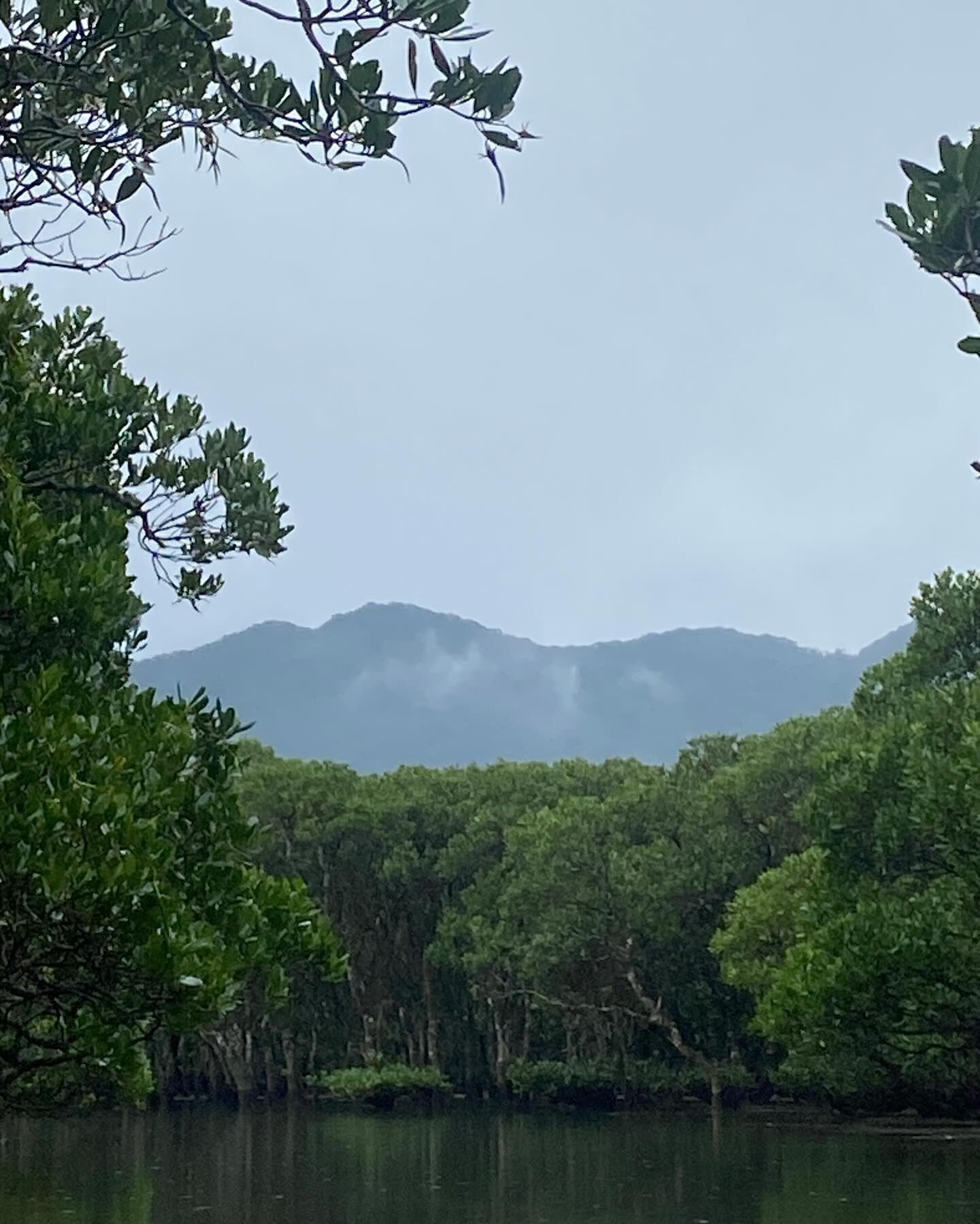 奄美大島