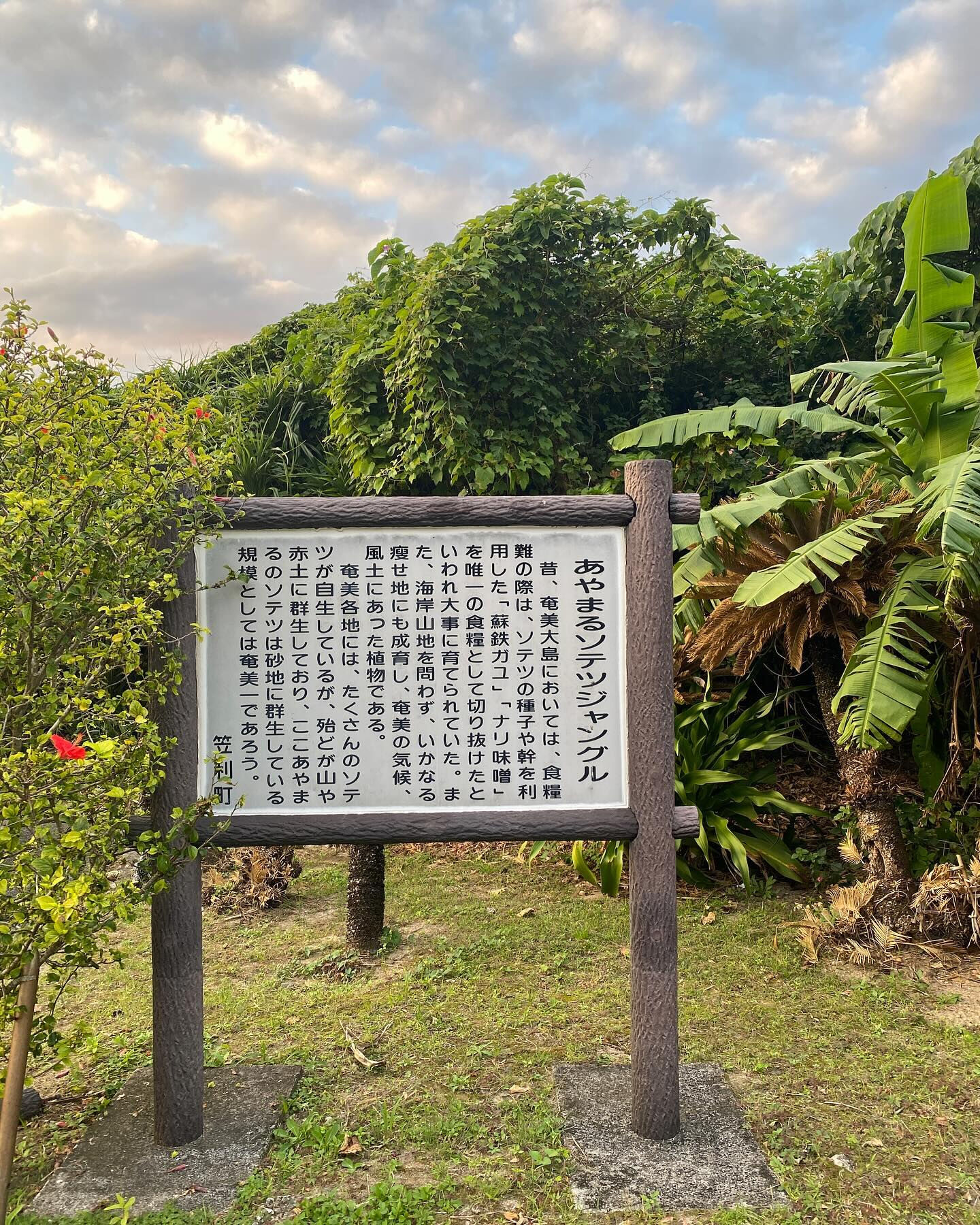 奄美大島