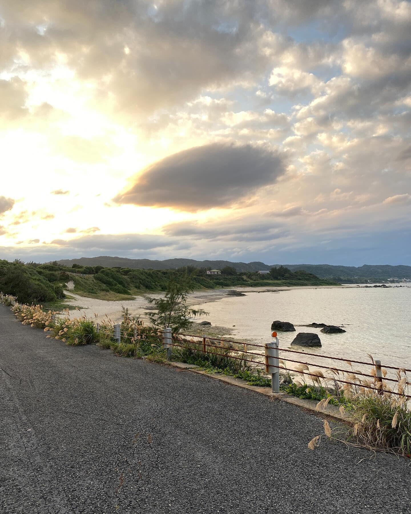 奄美大島