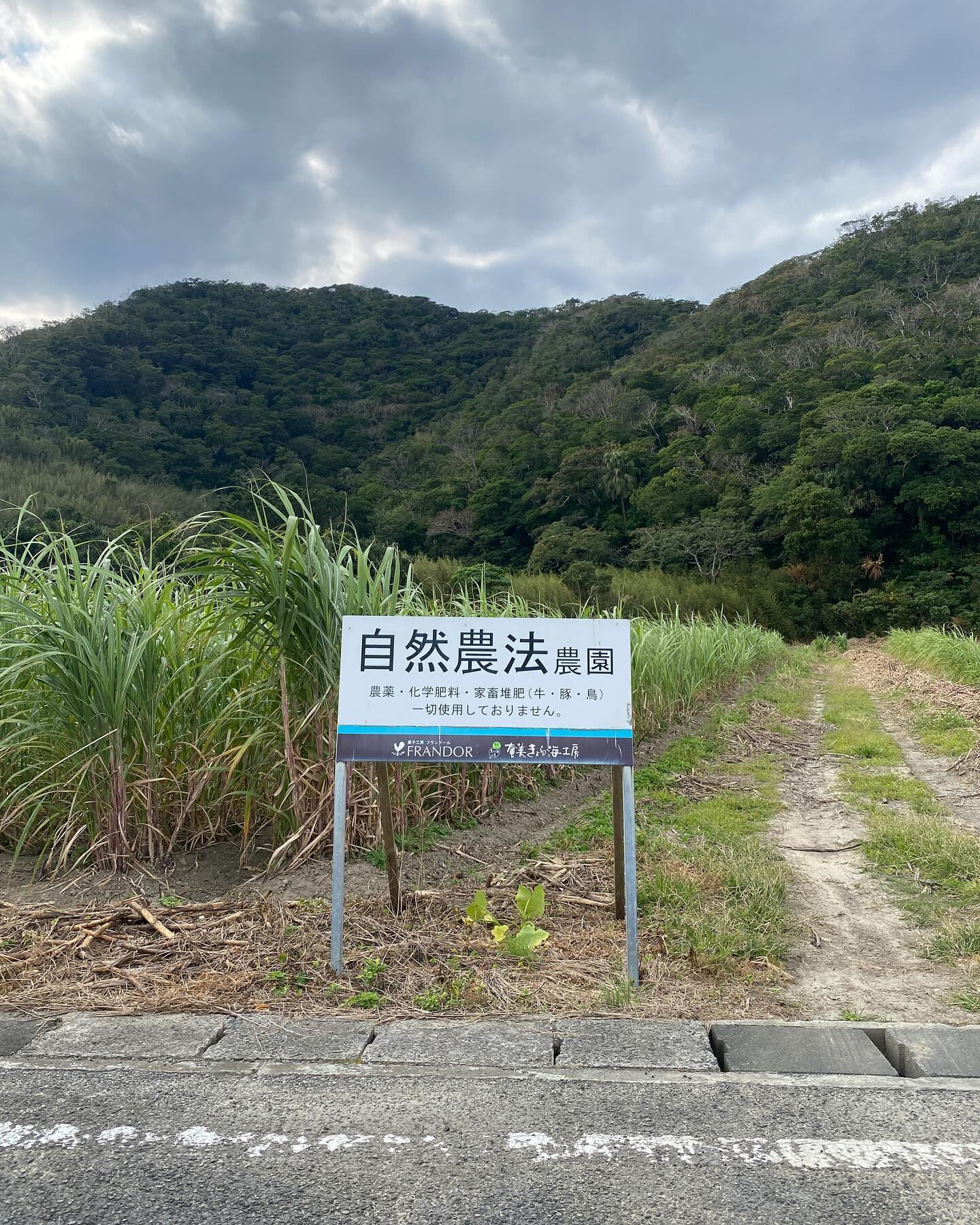 奄美大島