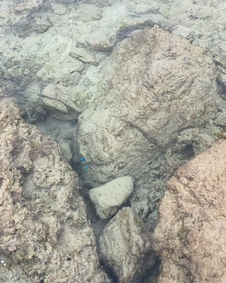 奄美大島