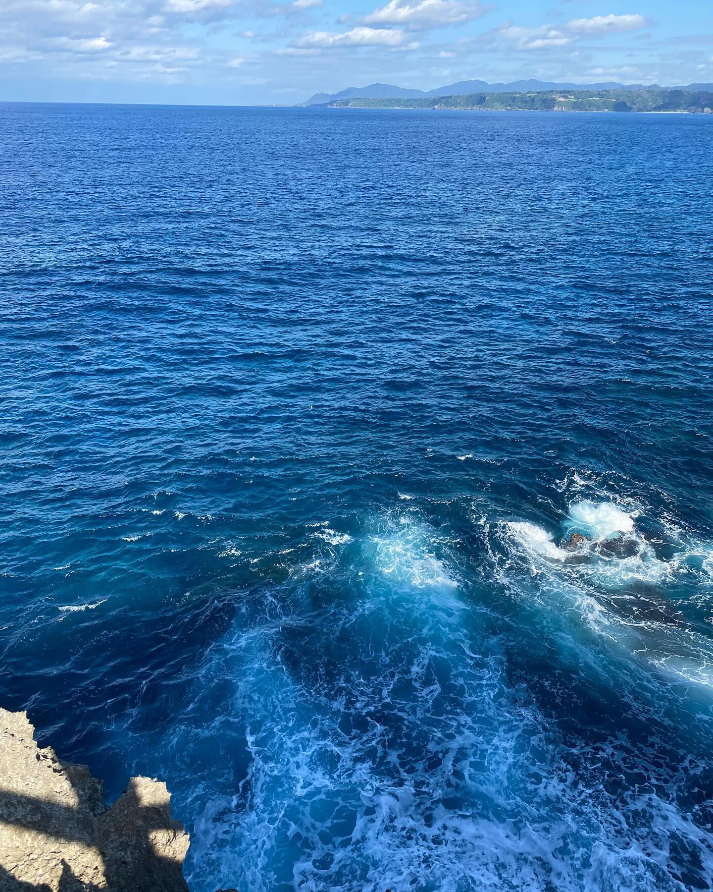 徳之島には固有動植物が多く生息していて、太古の昔から変わらな
