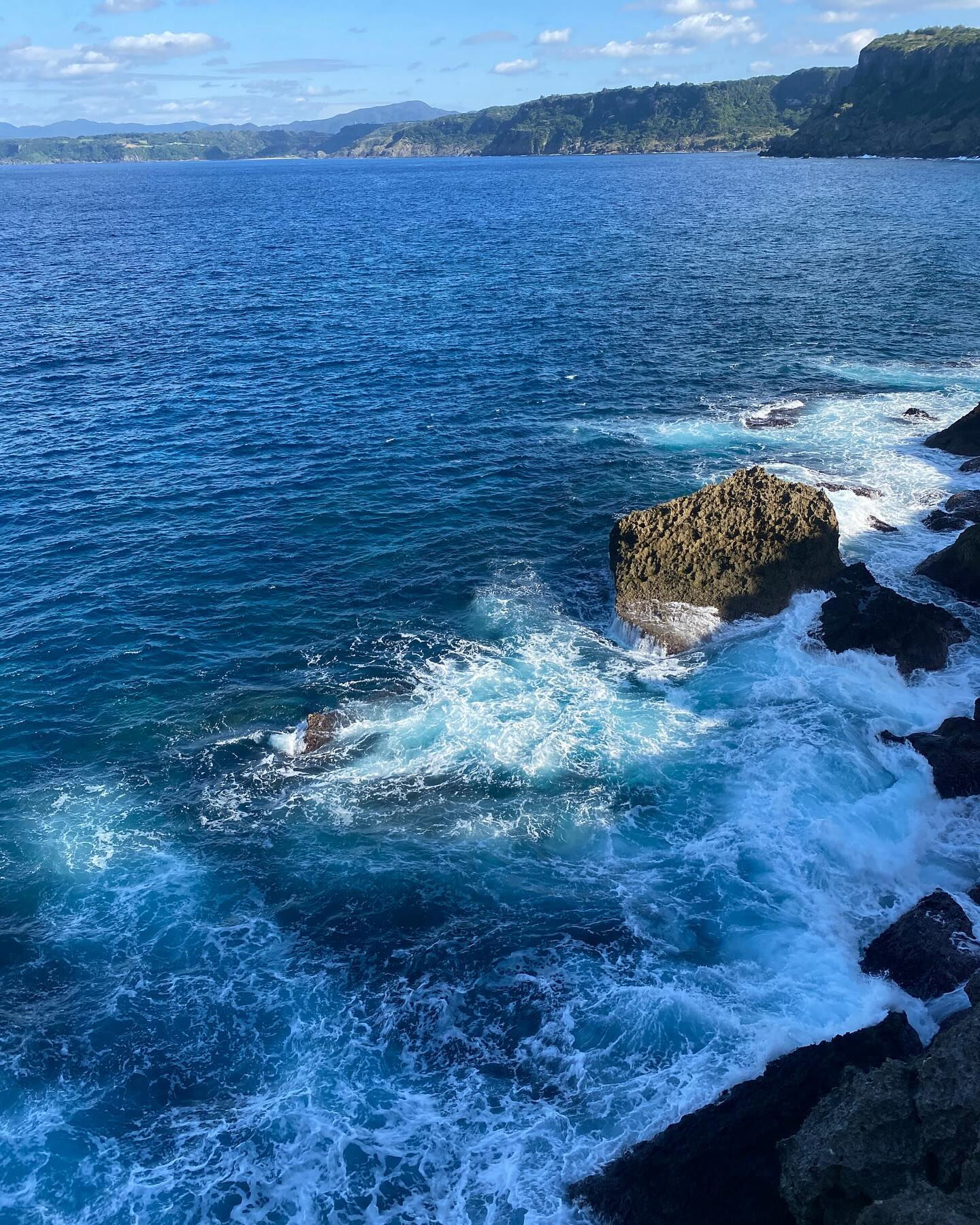 徳之島には固有動植物が多く生息していて、太古の昔から変わらな