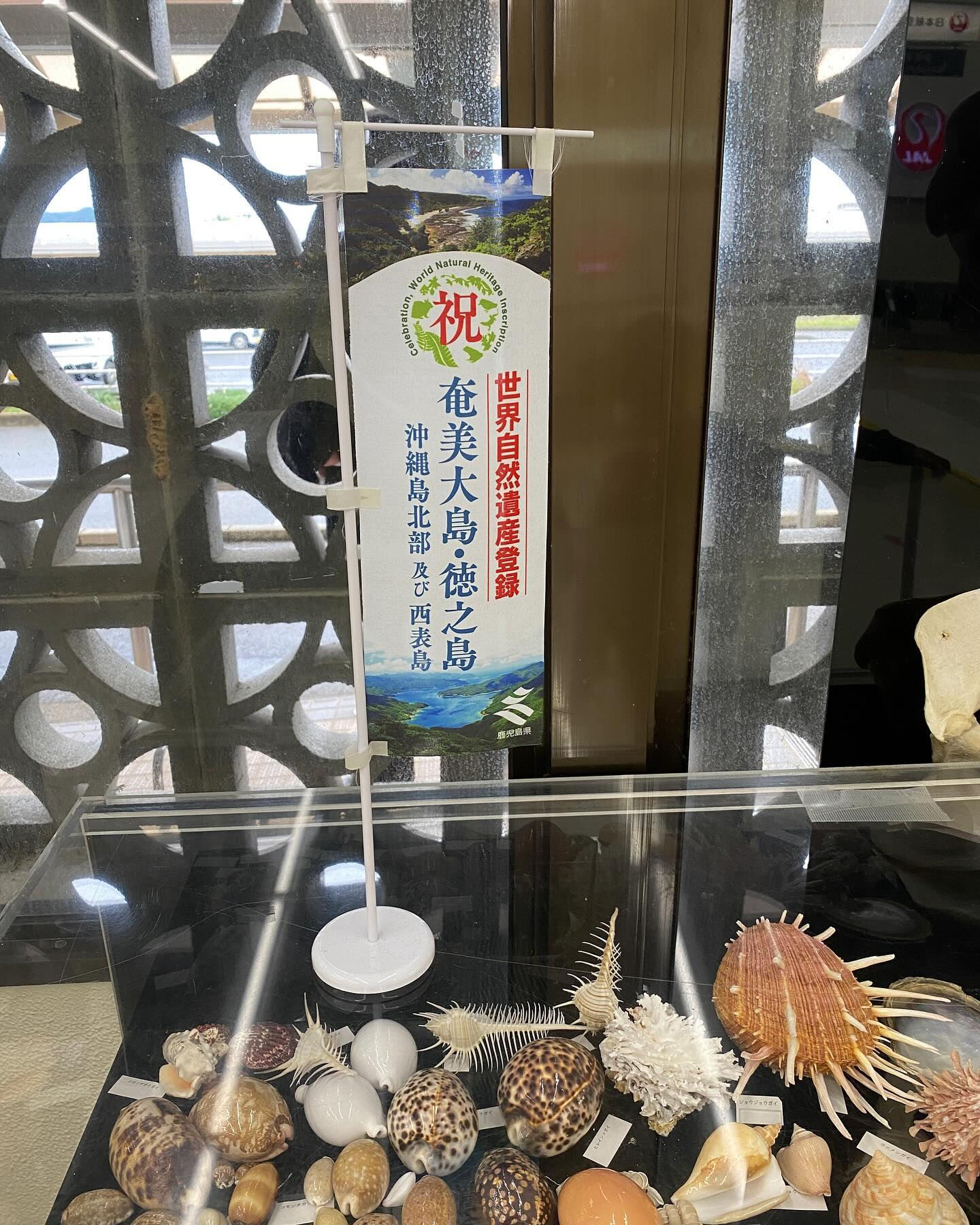 徳之島には固有動植物が多く生息していて、太古の昔から変わらな