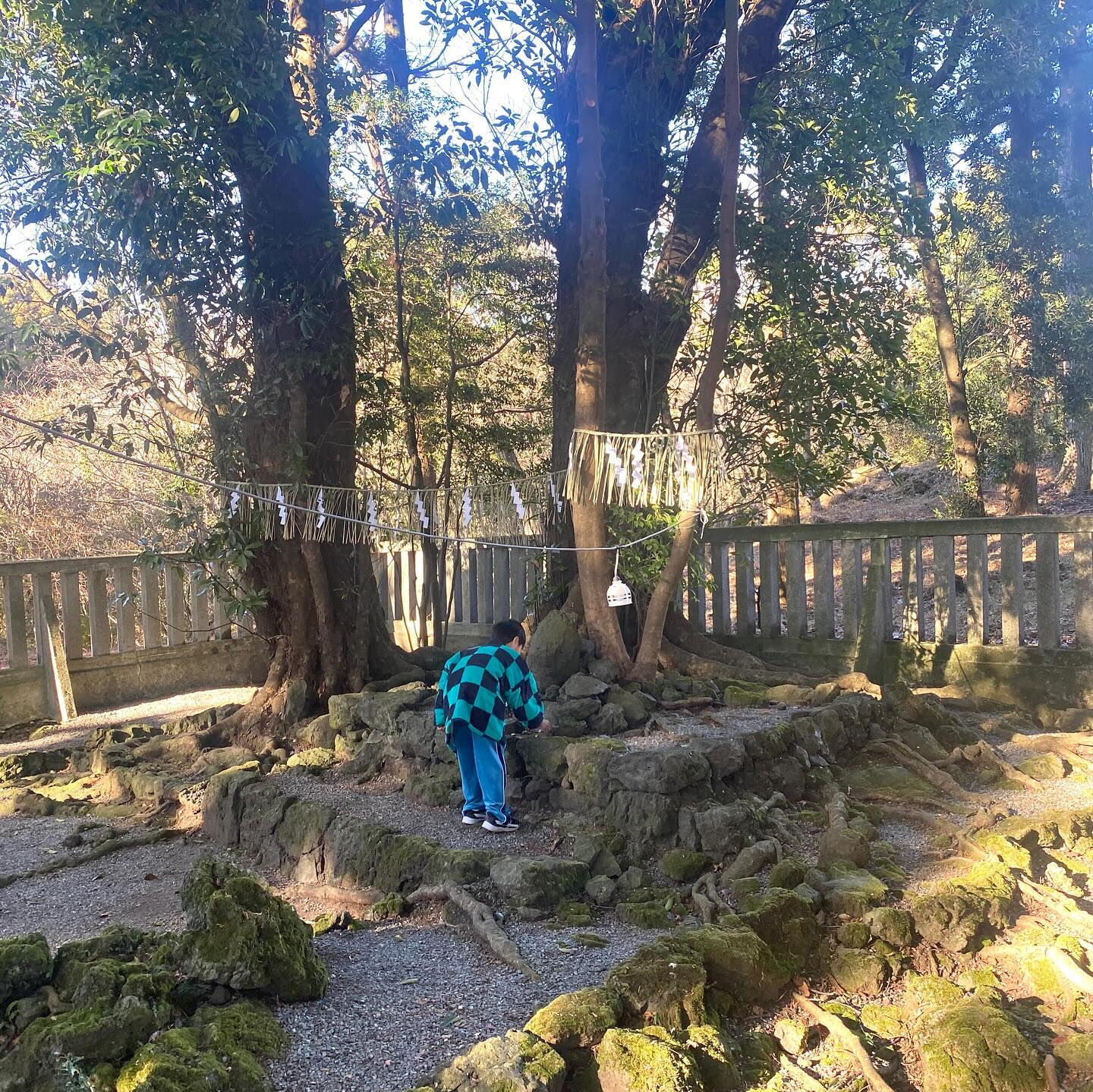 あけましておめでとうございます