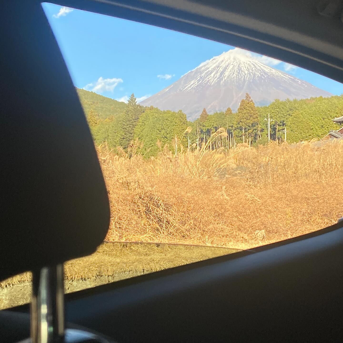 あけましておめでとうございます