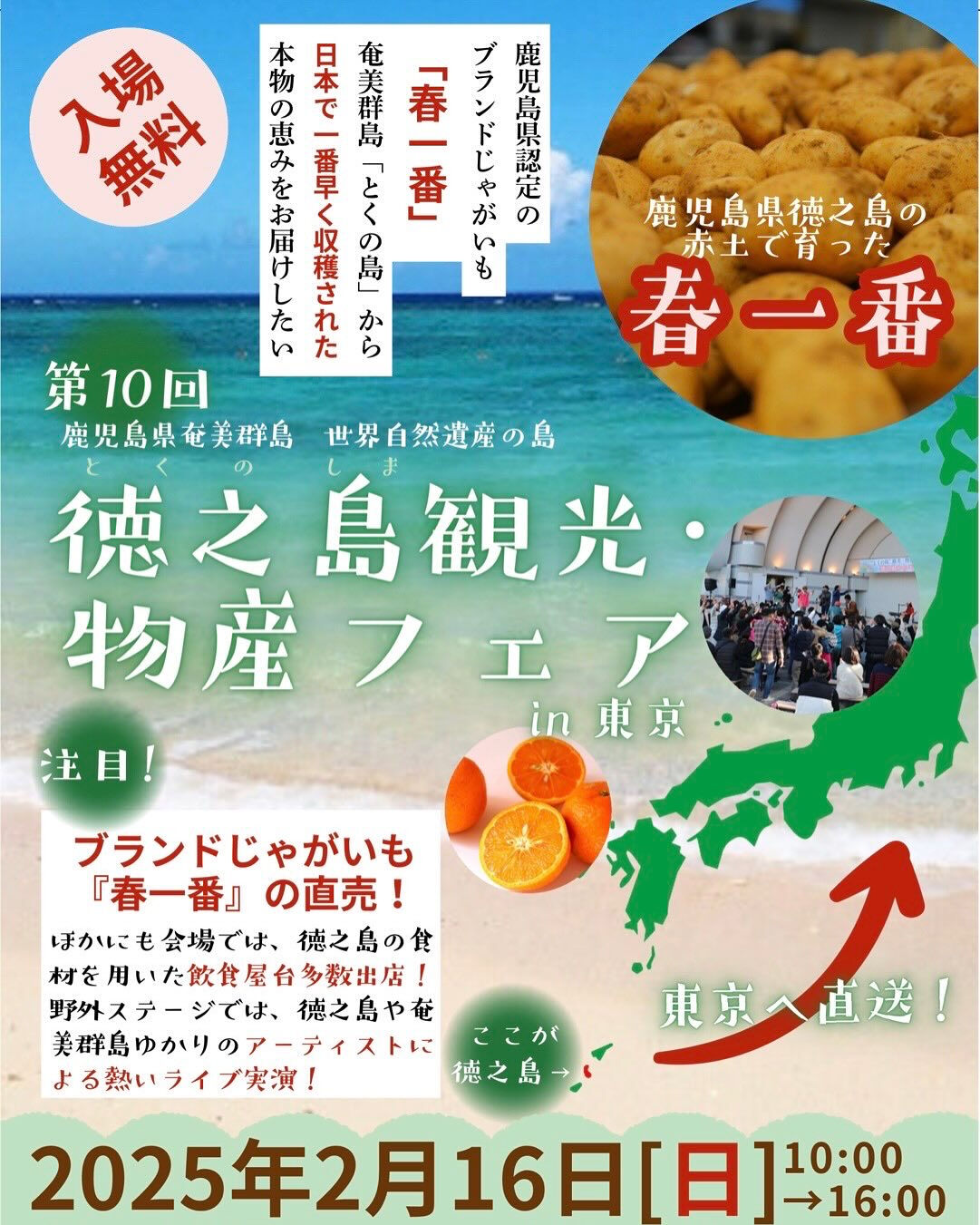 2/16(日)10:00〜16:00