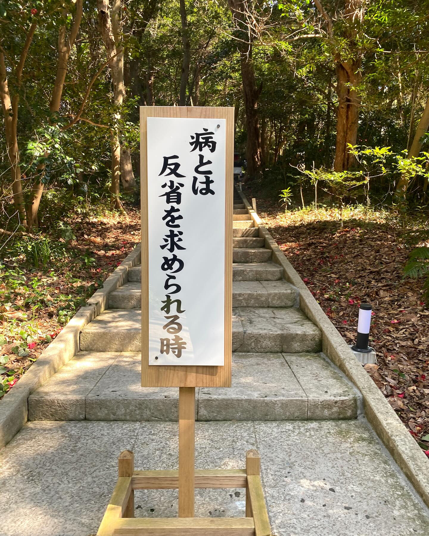 伊豆白濱のビーチクリーン