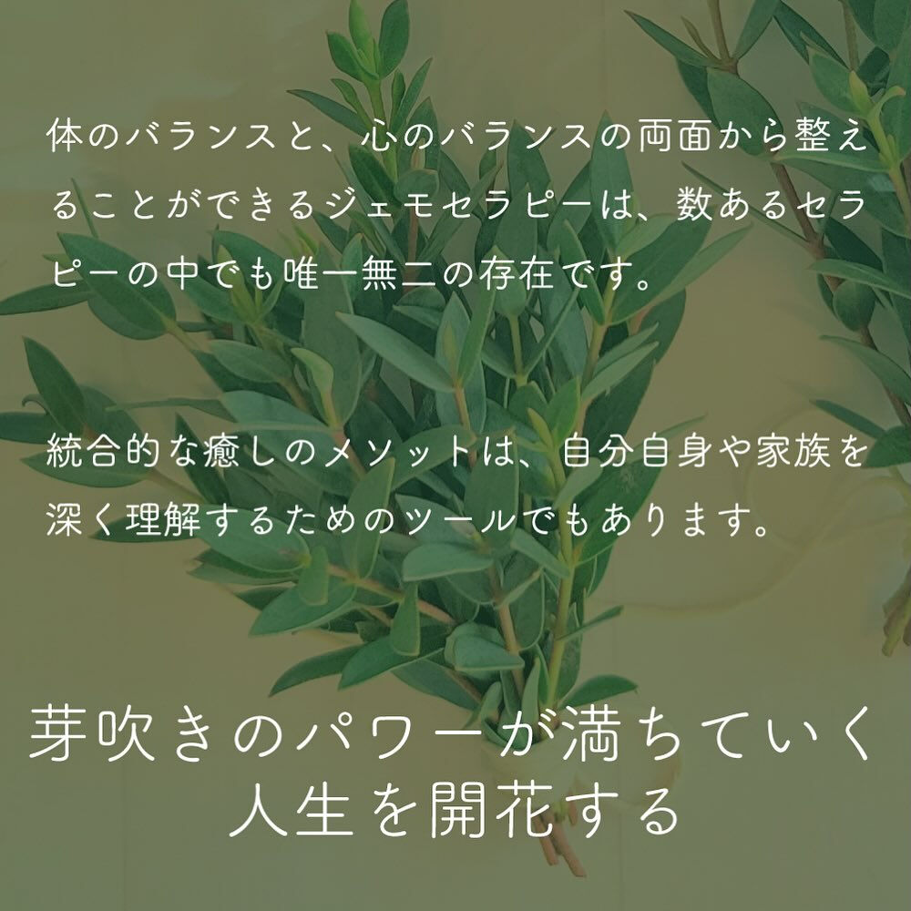 ジェモセラピーとは？