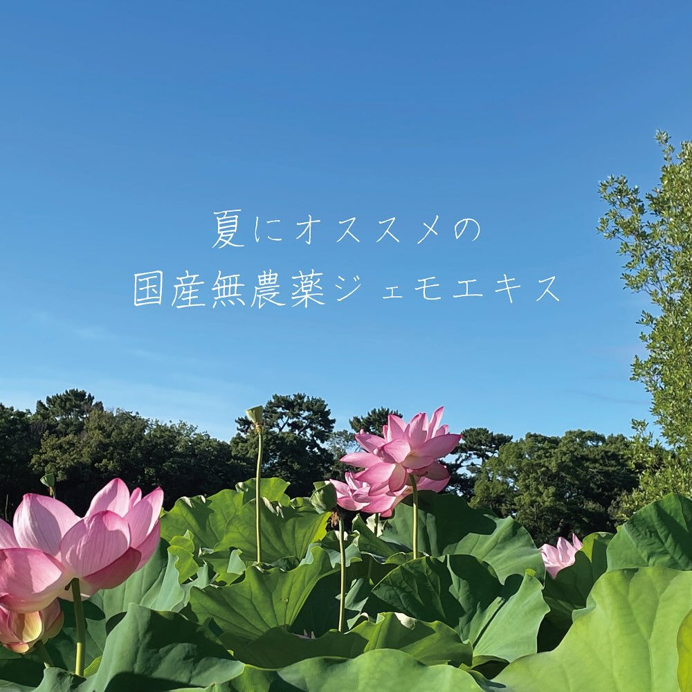 Evha BIOチョイス