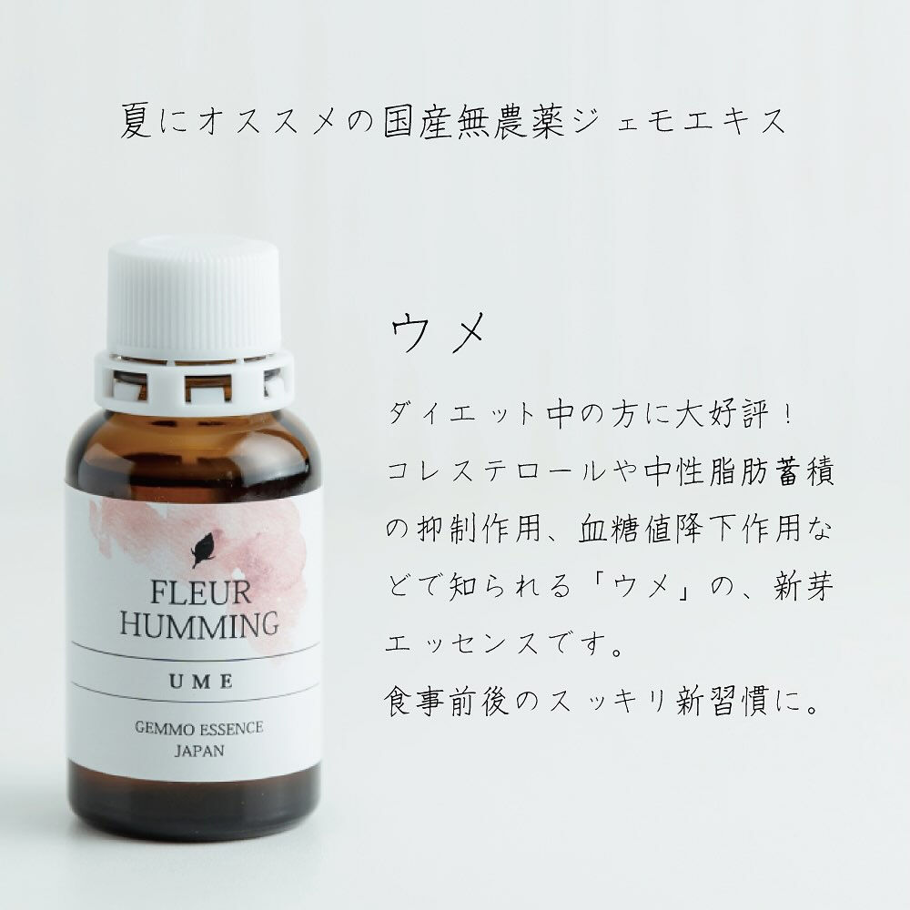 Evha BIOチョイス