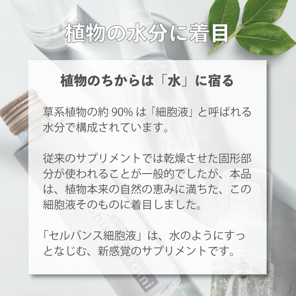 植物は、水の構造を変えて「水を進化させる」のだそうです