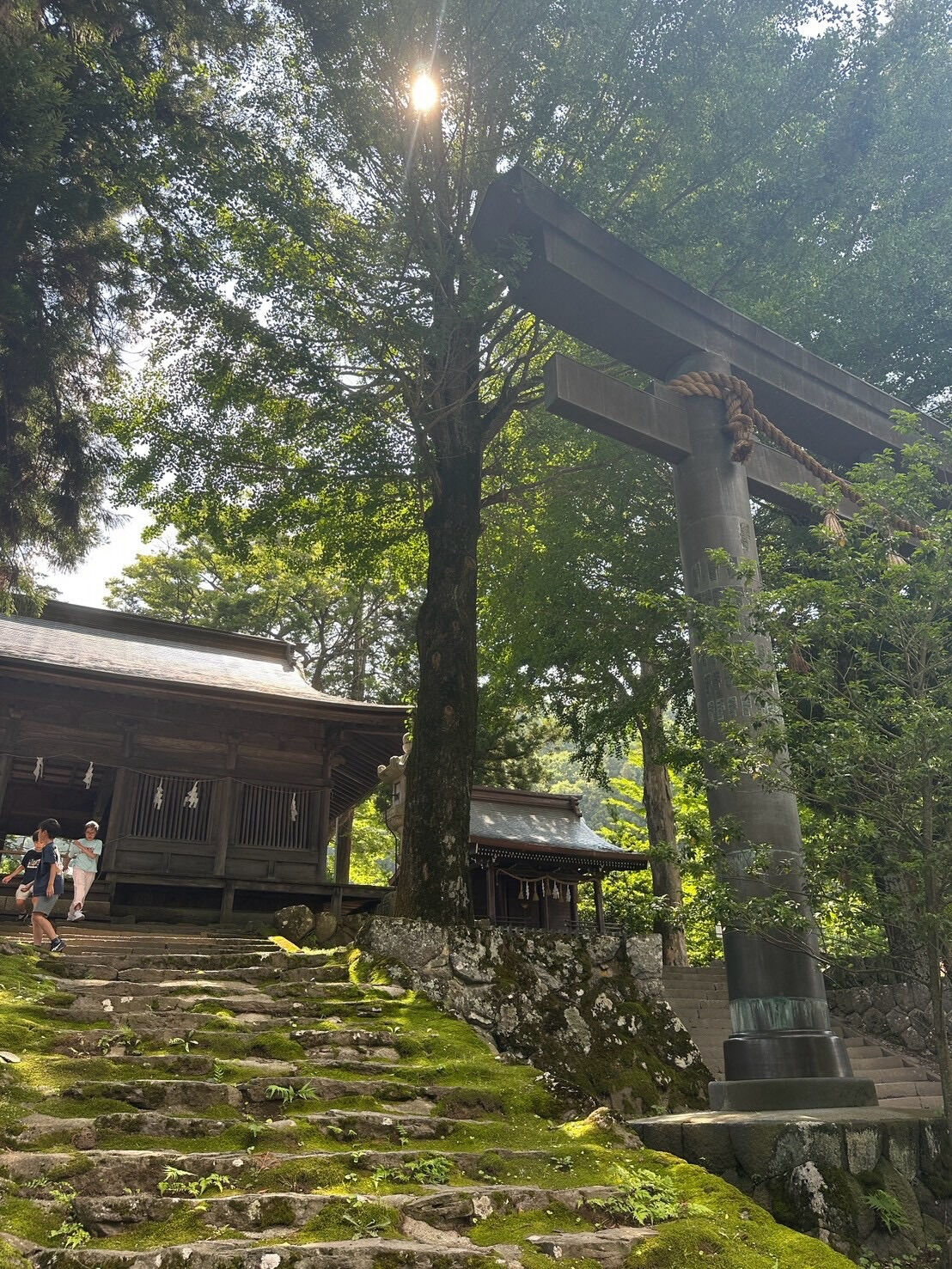 花鳥風月