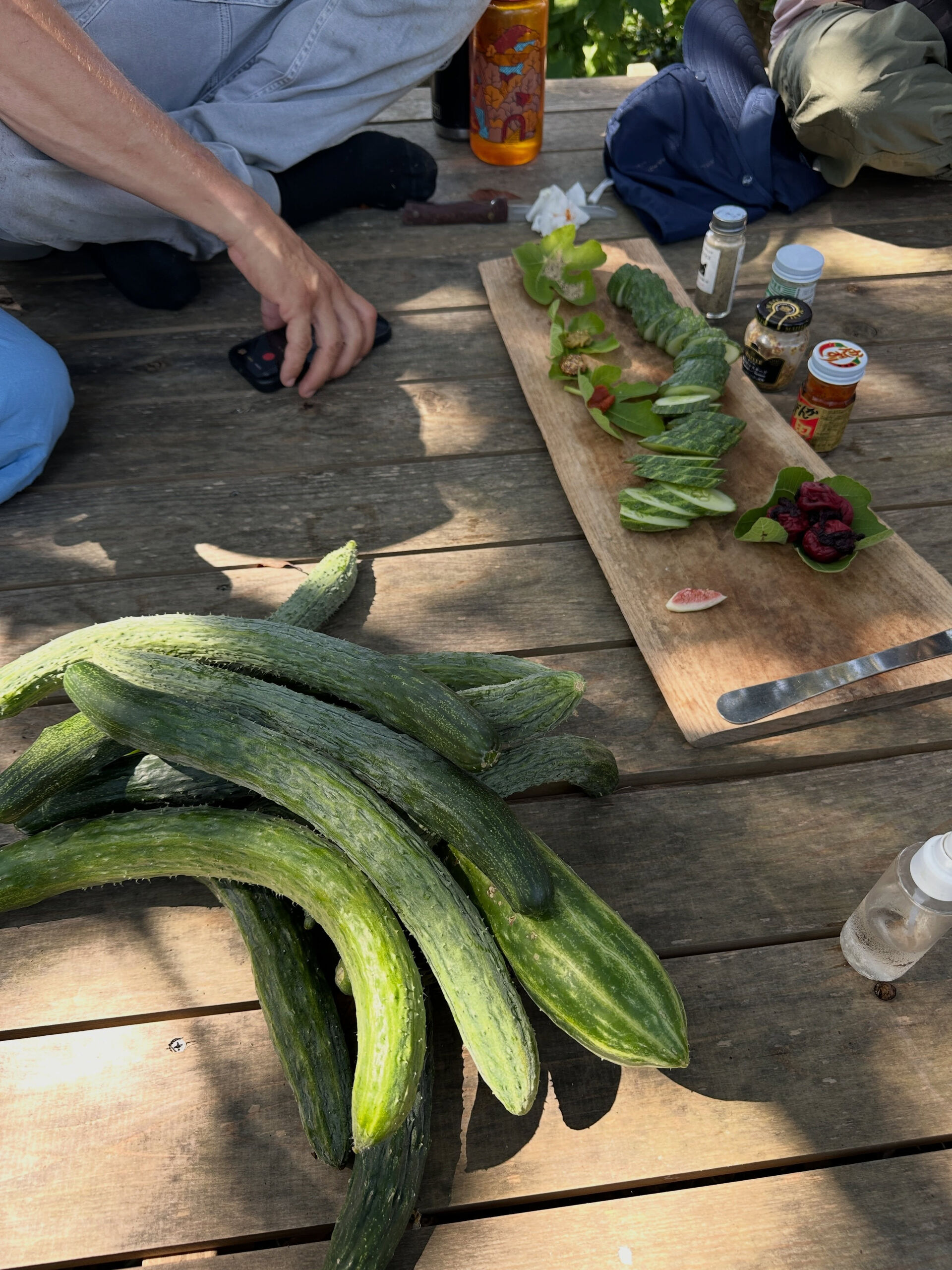 ミントはドライブと相性のよいハーブ🌿