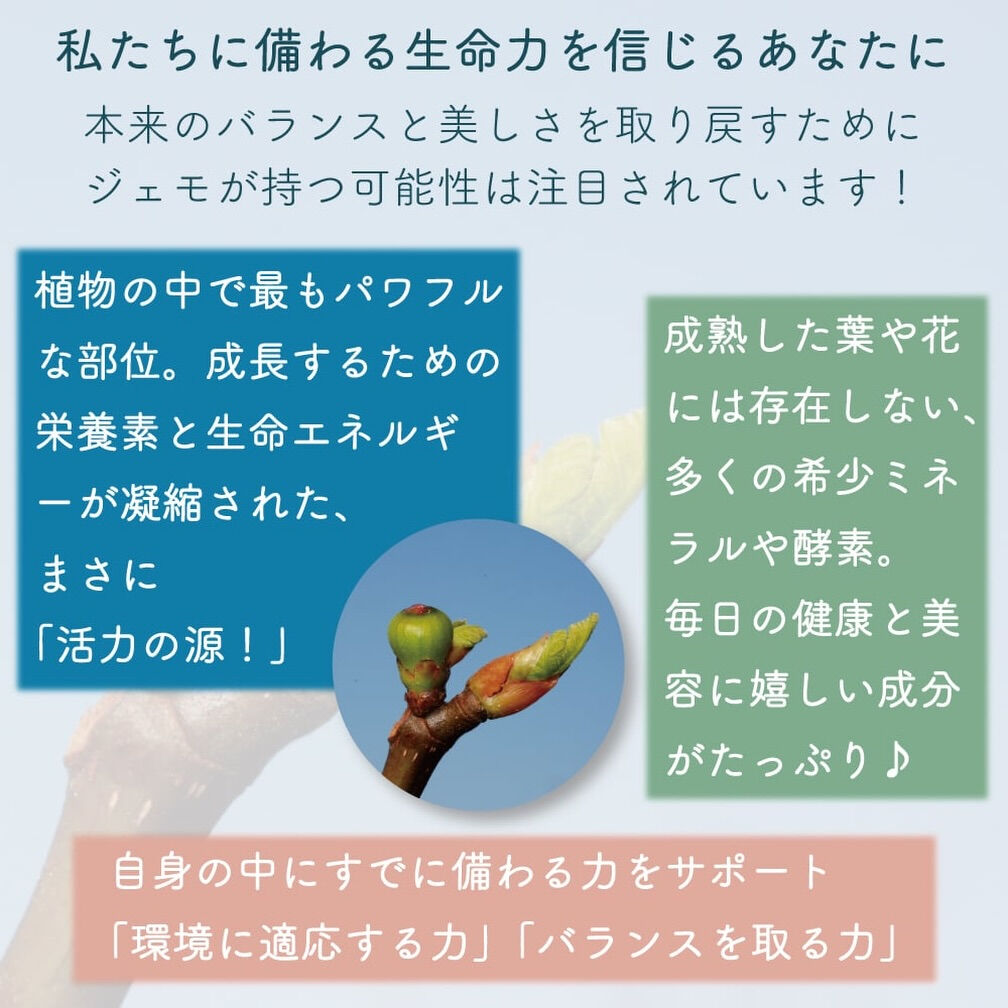 「パーソナルジェモセラピー」