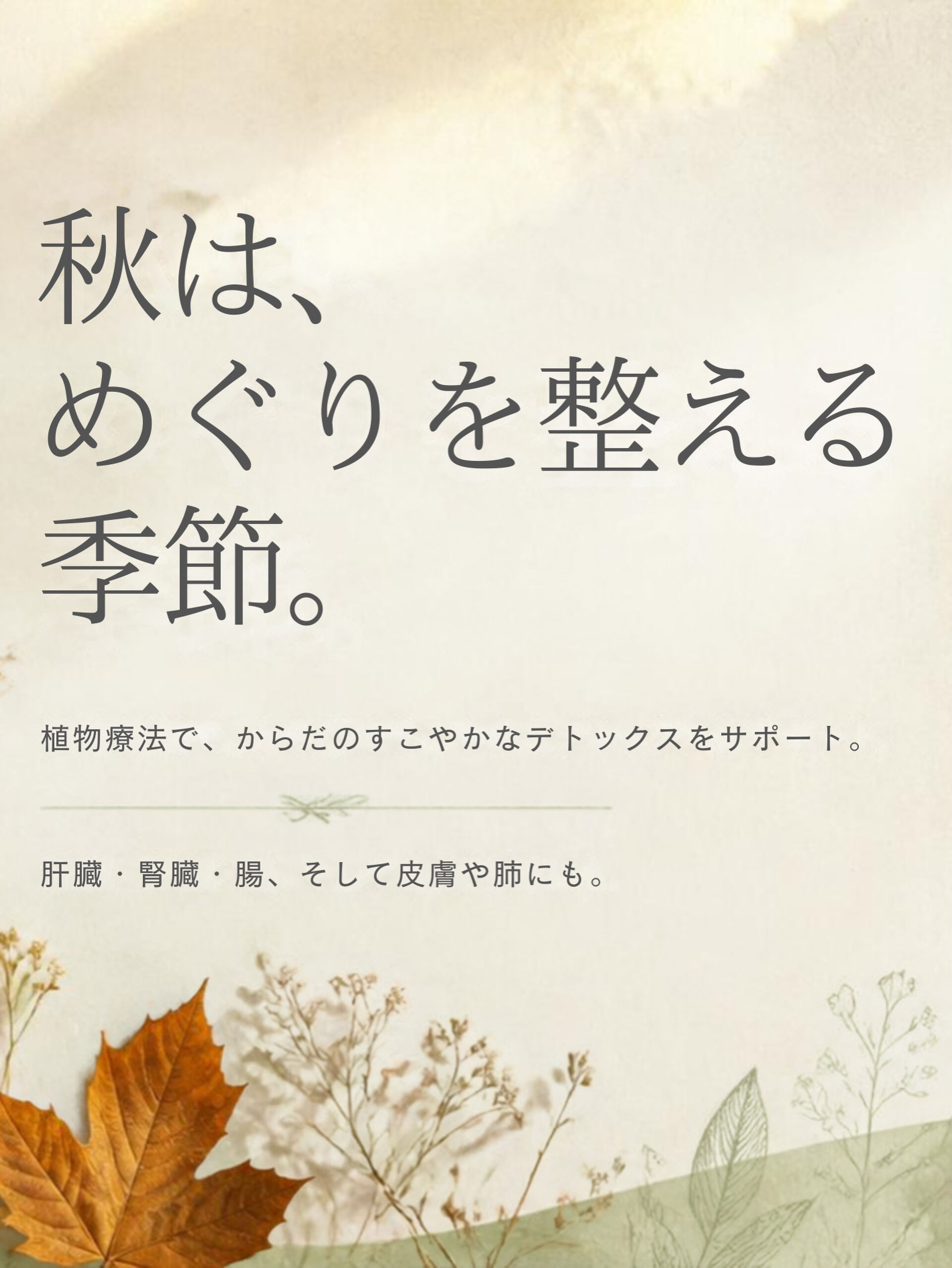 植物療法だけでなく、東洋医学やアーユルヴェーダにおいても、秋